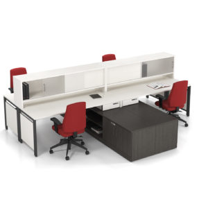 Layered Workstations with Shared Storage Layered Workstations with Shared Storage